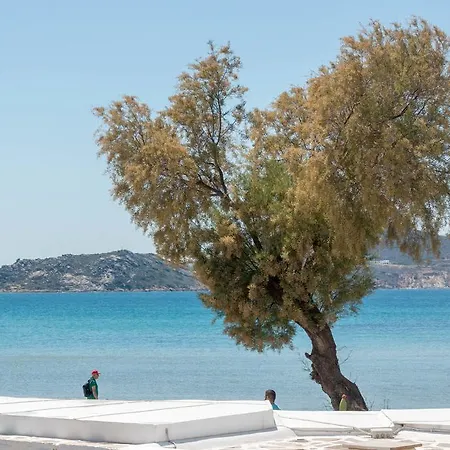 Apartment Thomais Naxos City
